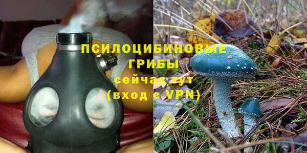 каннабис Корсаков