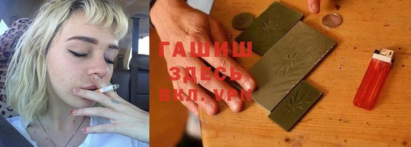 сатива Коряжма