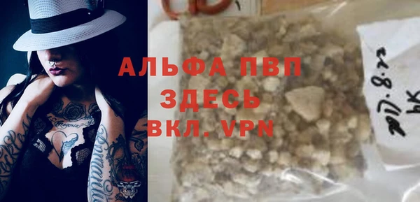 сатива Коряжма