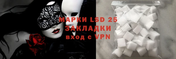 сатива Коряжма
