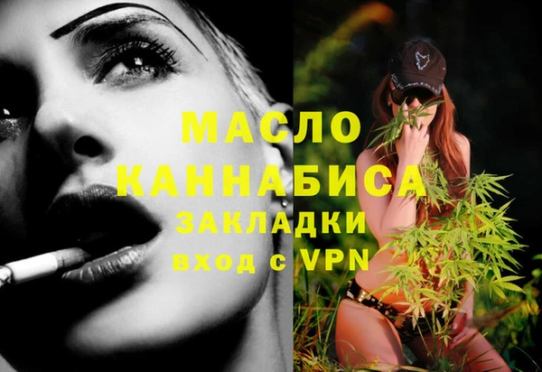 сатива Коряжма