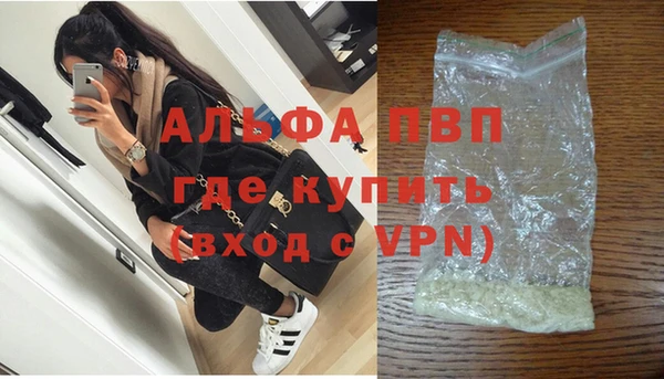 сатива Коряжма