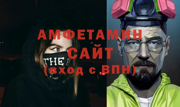 сатива Коряжма